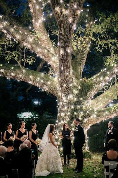 10 Bright Starry, Starry Night Wedding Theme | Wedding lights .