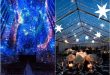 18 Romantic Starry Night Wedding Ideas You Can't Resist - Mrs to