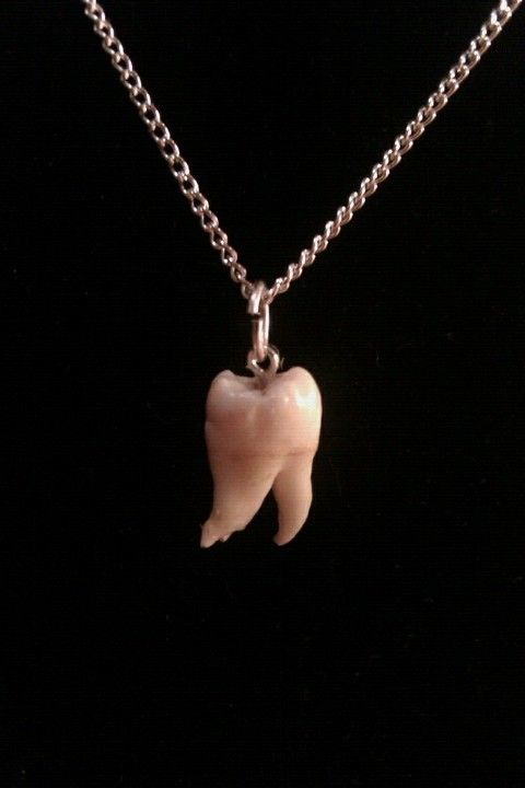 Snaggle Tooth Necklace | Etsy in 2020 | Human teeth jewelry, Tooth .
