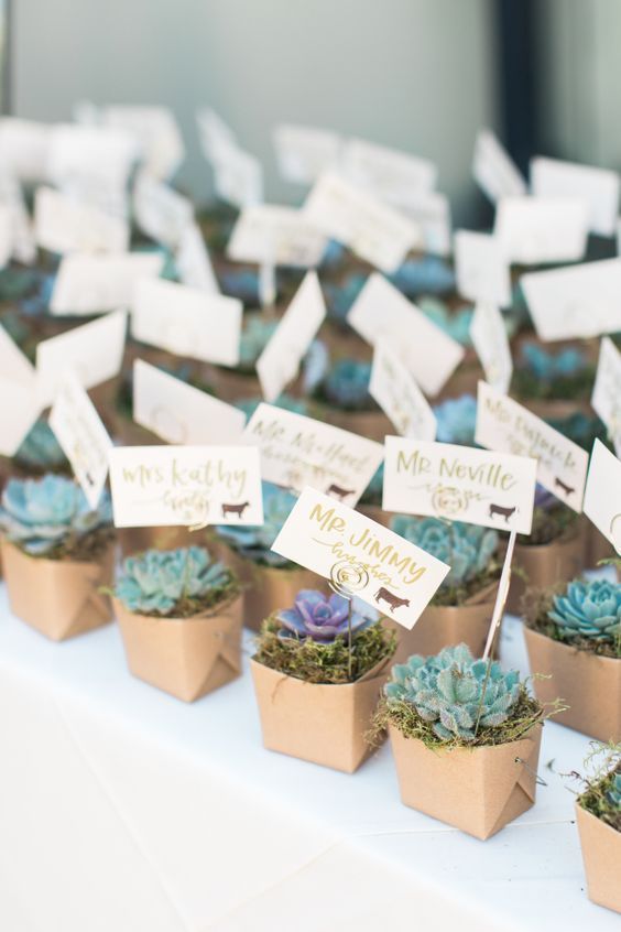 Unique Wedding Favours Ideas that will WOW your Guests | Wedding .