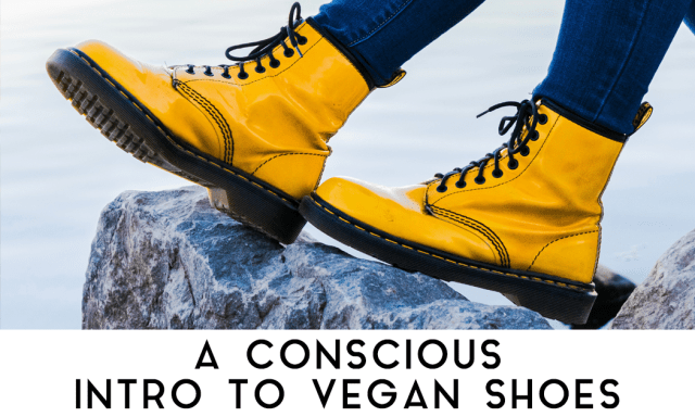 A Conscious Introduction to Vegan Shoes – Revival Collecti