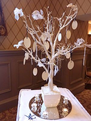 Wishing Tree -at reception, for people to write all their wishes .